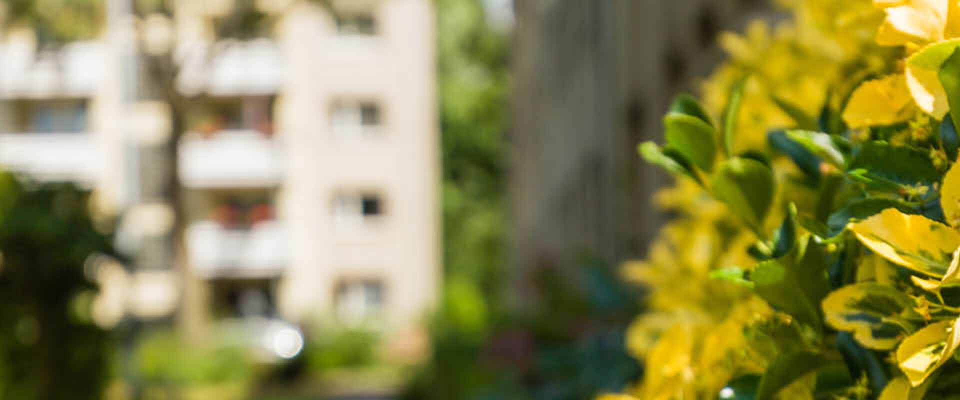 Suche in den Neuigkeiten und in der Wohnungssuche | GCP Suche in den Neuigkeiten und in der Wohnungssuche | GCP