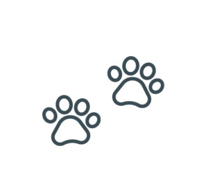 GCP Icon Haustiere