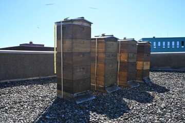 Das Wildbienenhotelprojekt - GCP aktiv für Natur & Klima