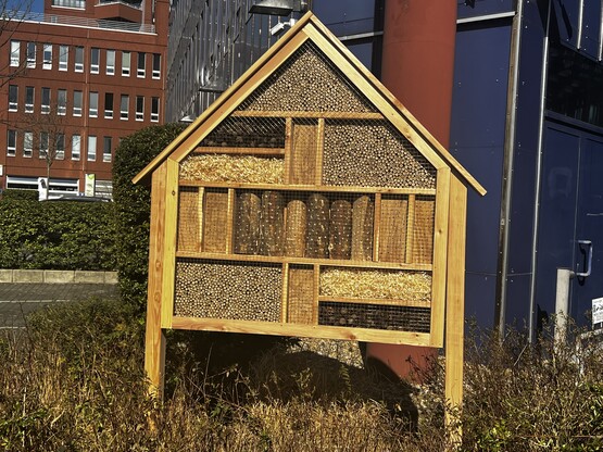 Das Wildbienenhotelprojekt - GCP aktiv für Natur & Klima