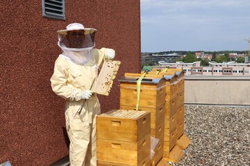 Das Wildbienenhotelprojekt - GCP aktiv für Natur & Klima