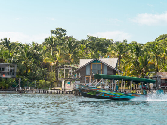 mietervorteile-panama-bocas del toro-selina.jpg