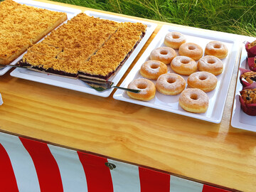 Mietersommerfest von GCP in Möllenhagen