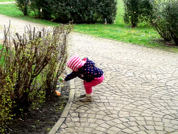 Der Osterhase kommt nach Magdeburg