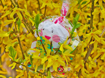 Ostergeschenke für Mieter in Ahlen