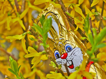 Mieter aus Rostock feiern vorgezogene Ostern