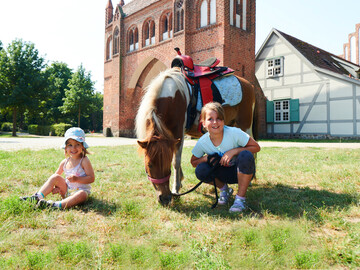 Erneutes Engagement in Neubrandenburg