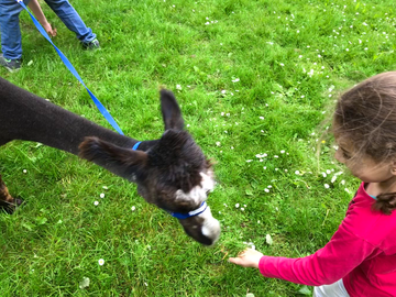 GCP-Kindertag in Grünau
