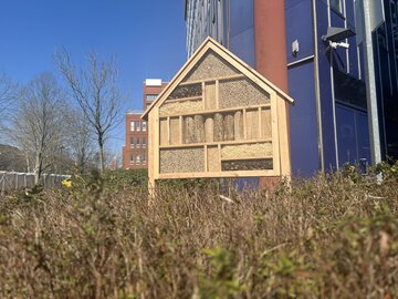Frühlingsbeginn: GCP eröffnet Wildbienenhotels