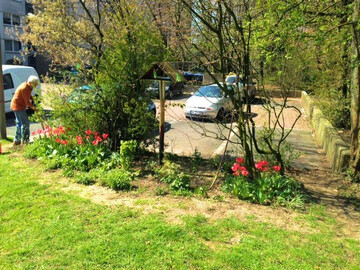 Frühlingsblumen und fleißige Hobbygärtner in Erkrath
