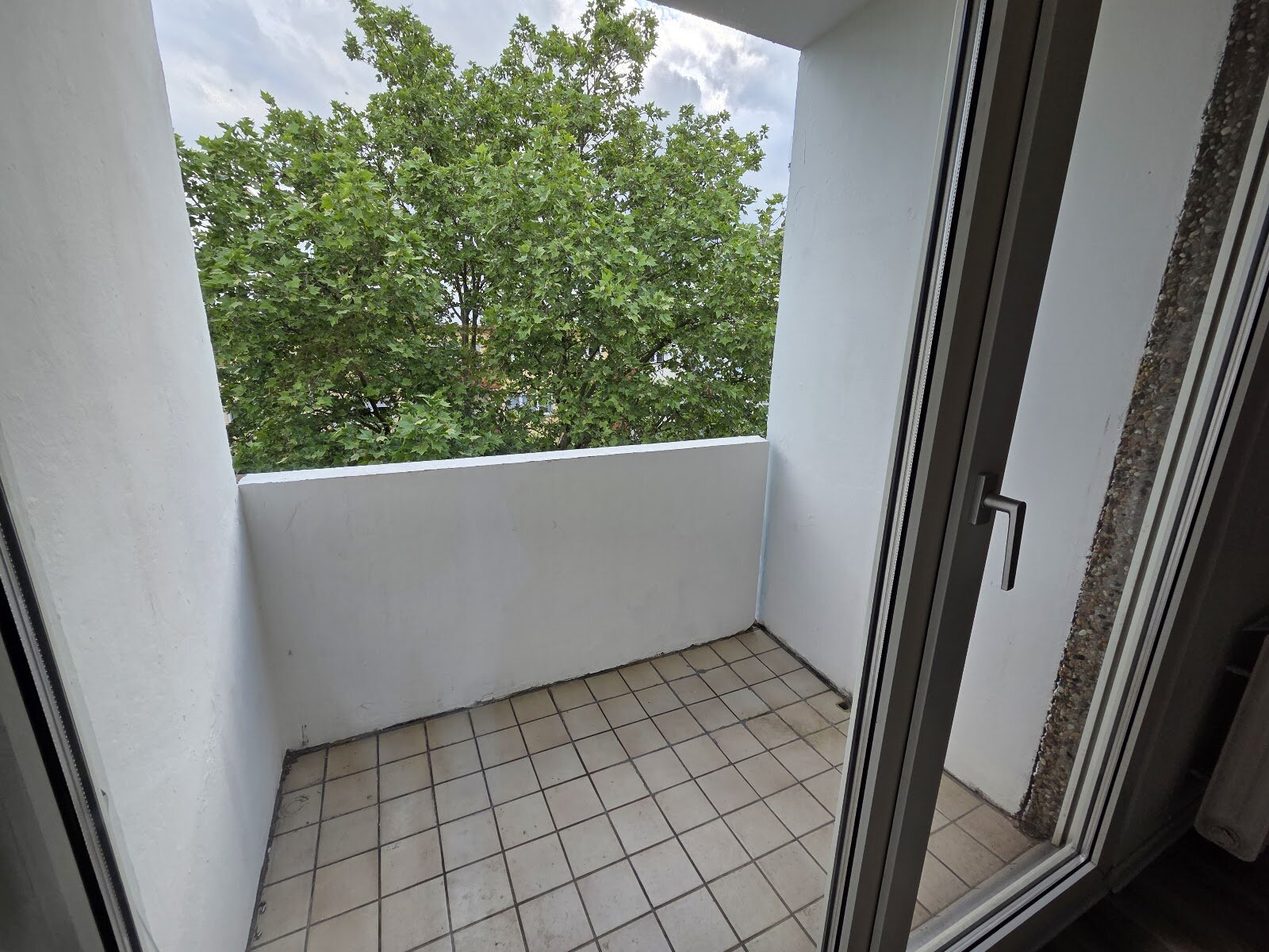 Hilgardring 9, 67657 Kaiserslautern