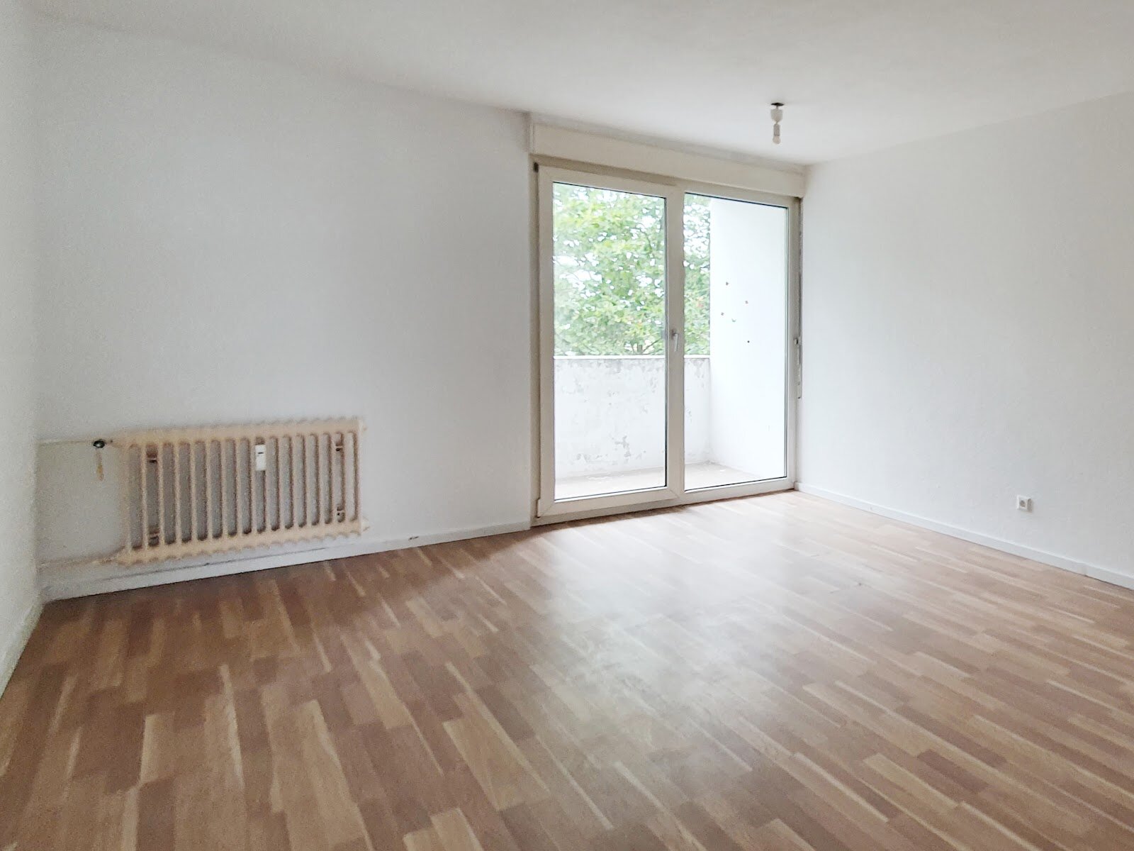 Hilgardring 11, 67657 Kaiserslautern