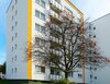 Käthe-Kollwitz-Str. 10, 45527 Hattingen
