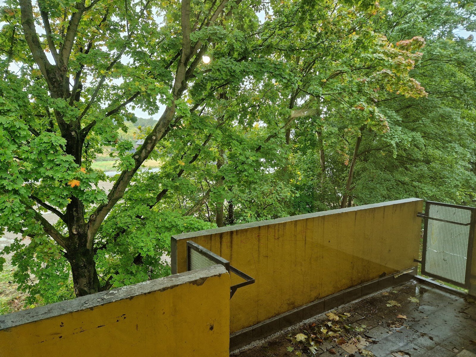Briloner Straße 40, 44575 Castrop-Rauxel