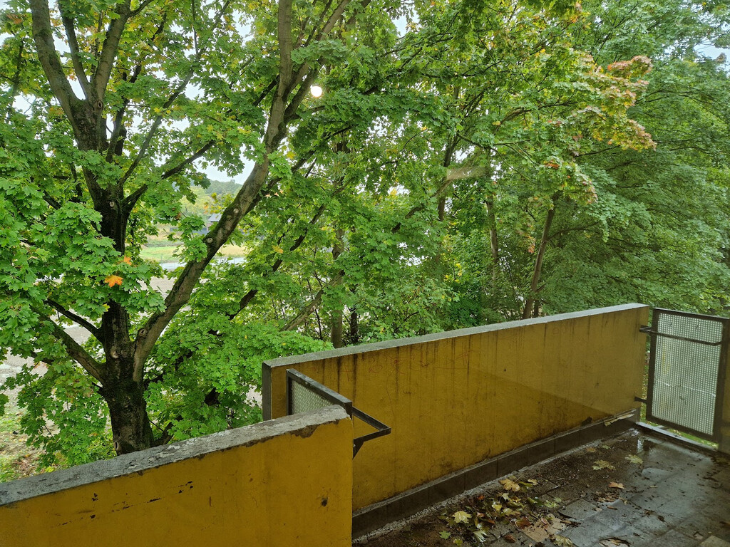 Briloner Straße 40, 44575 Castrop-Rauxel