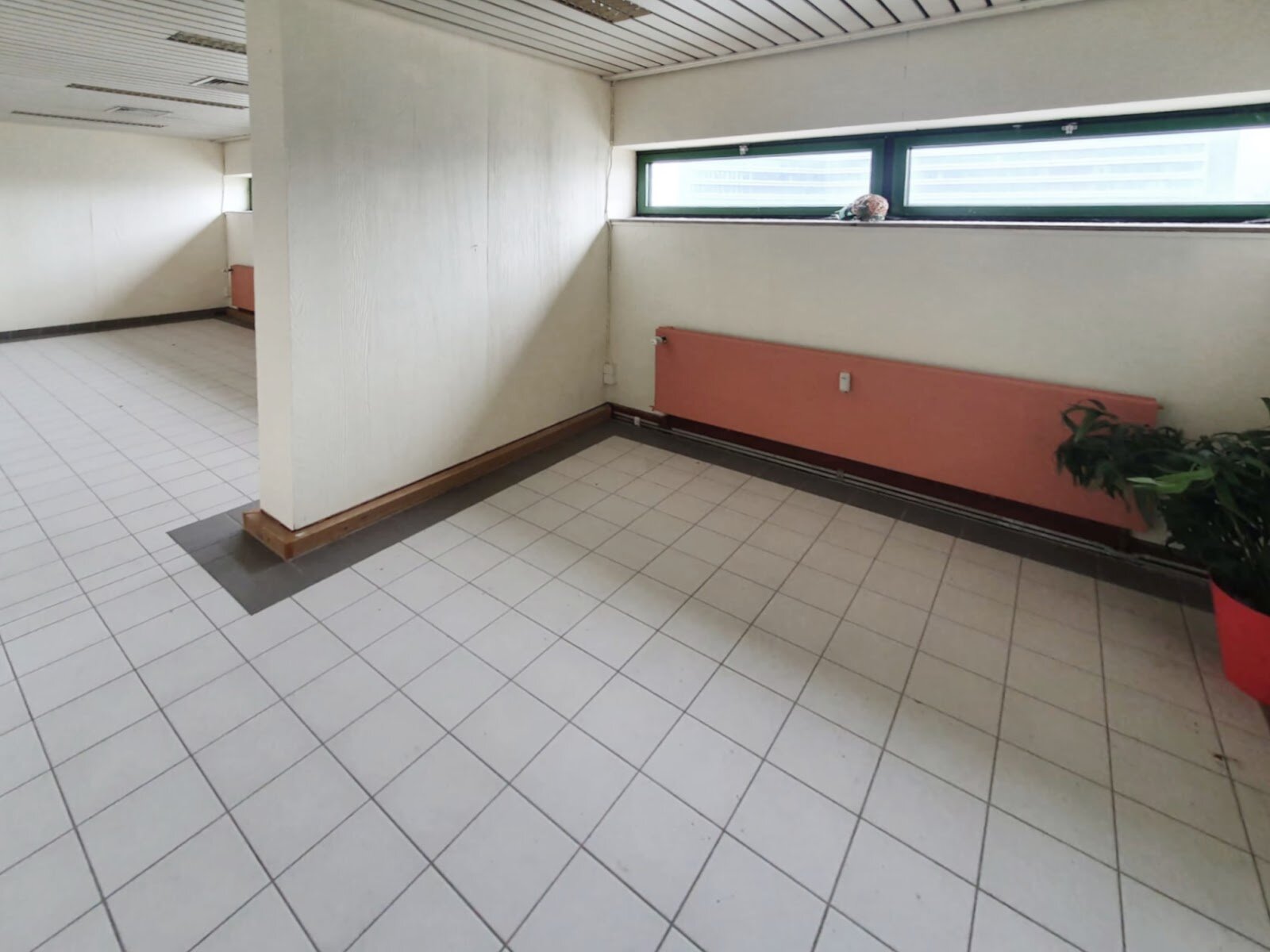Hainstraße 25, 90461 Nürnberg