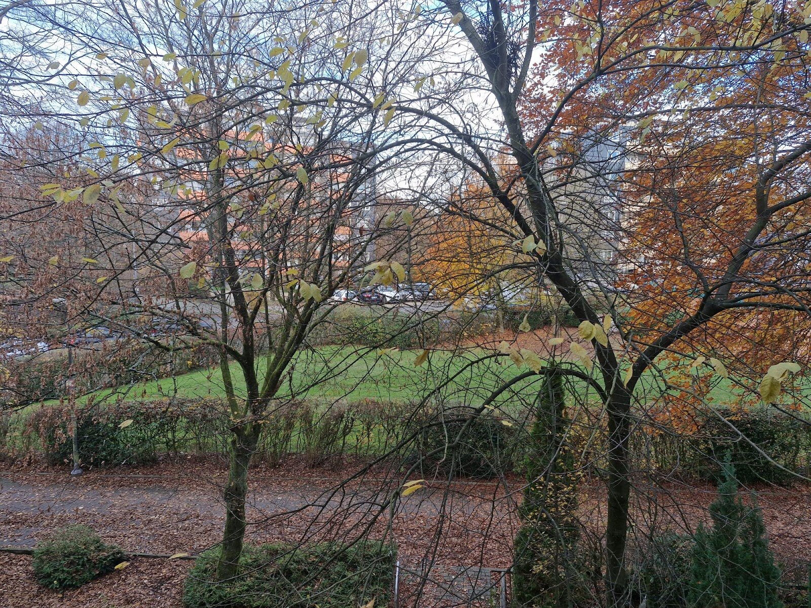 Mohrhennsfeld 23, 42369 Wuppertal