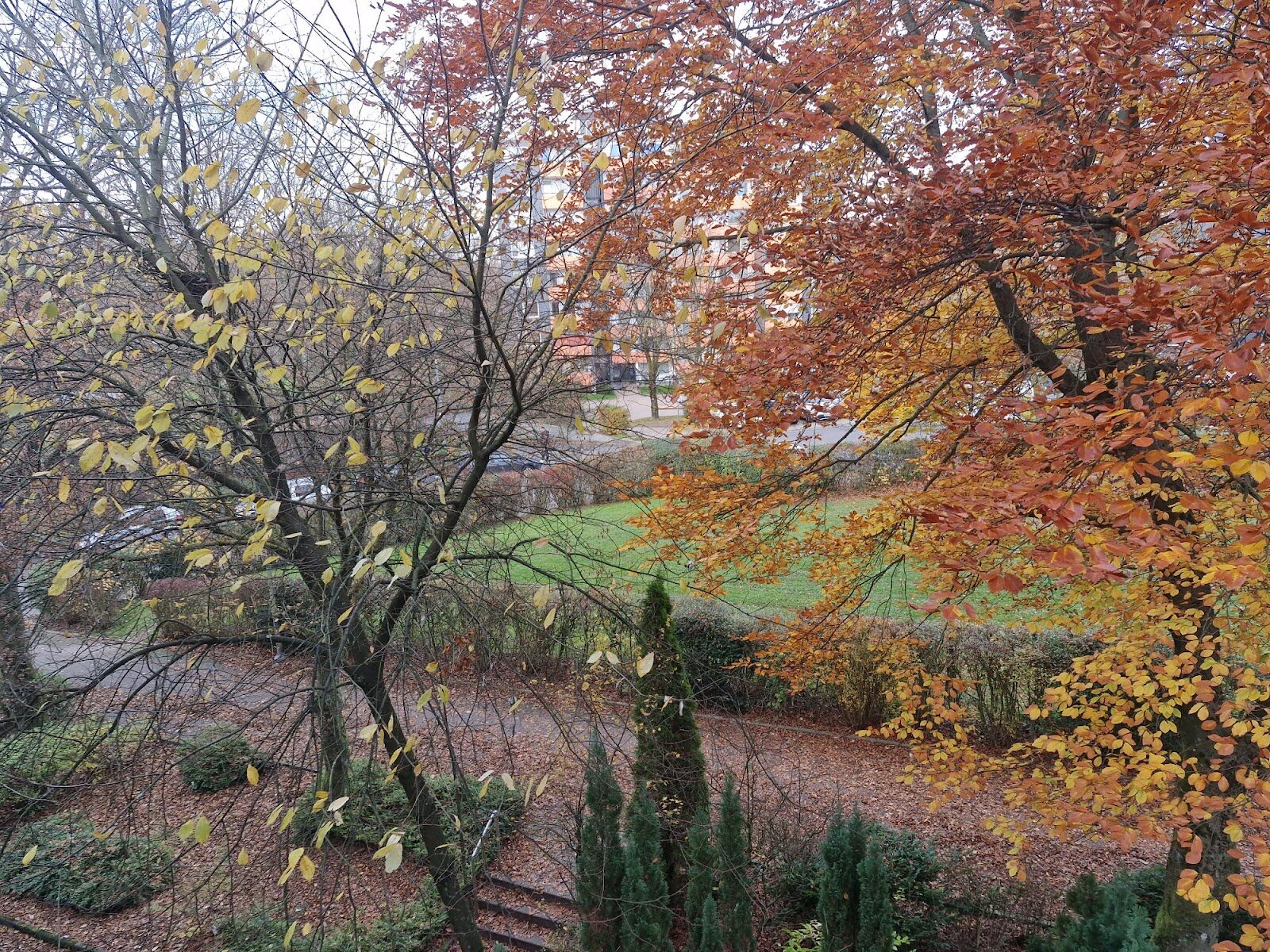 Mohrhennsfeld 25, 42369 Wuppertal