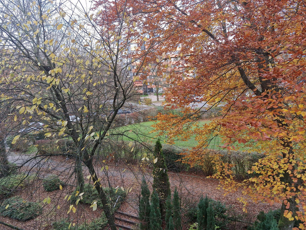 Mohrhennsfeld 25, 42369 Wuppertal