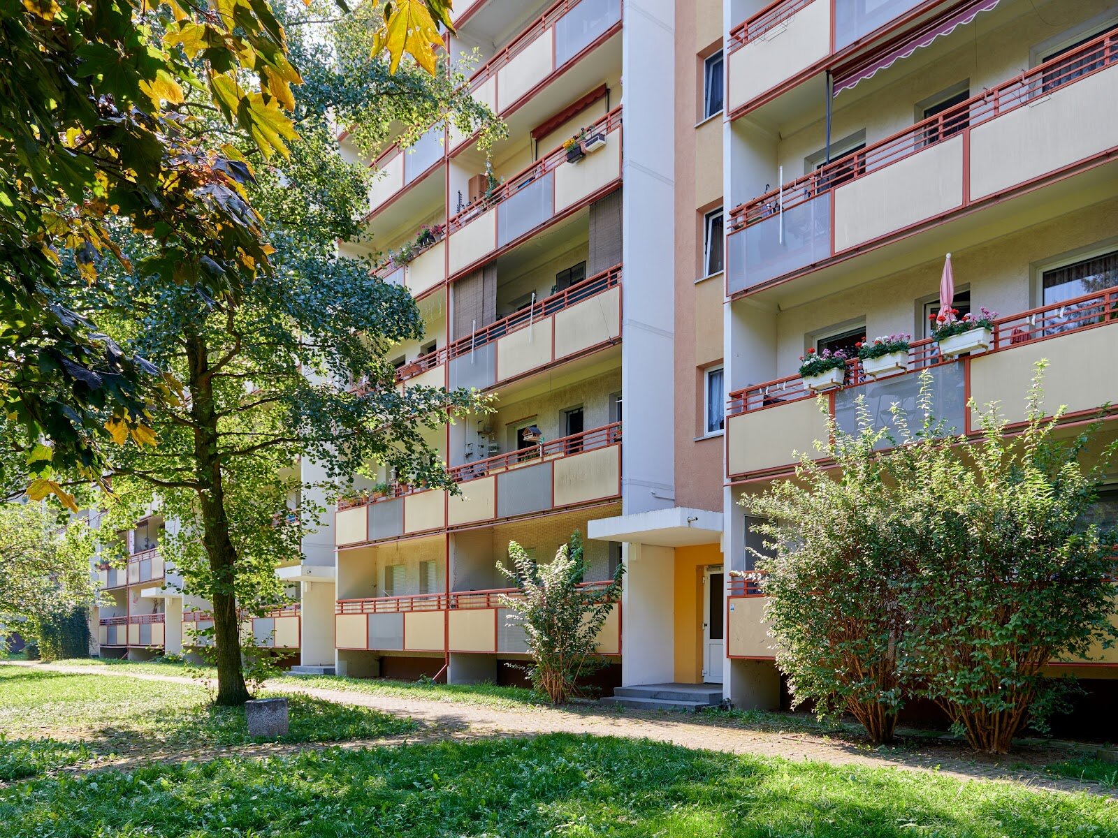 Harthaer Straße 42, 01169 Dresden