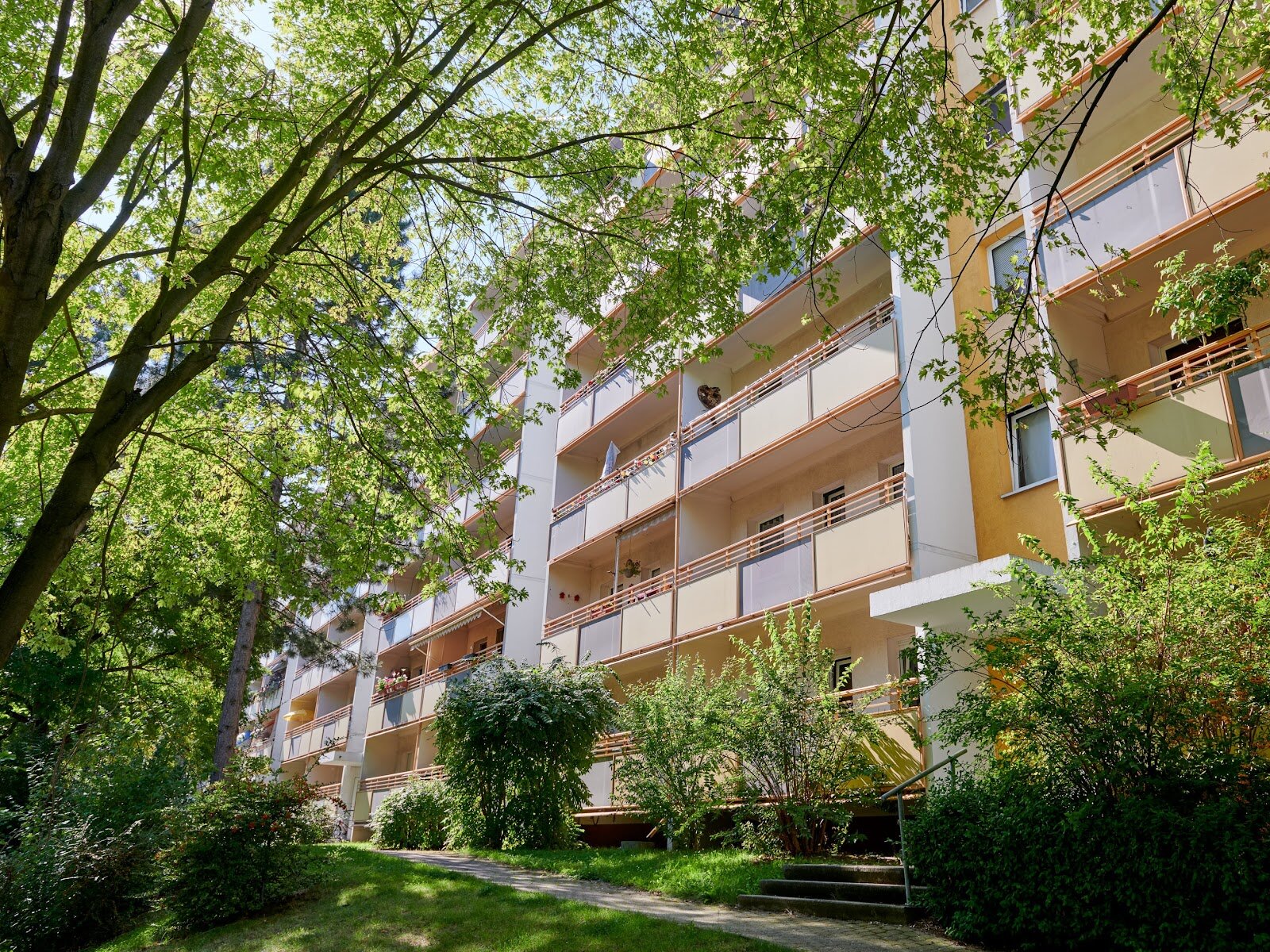 Harthaer Straße 42, 01169 Dresden