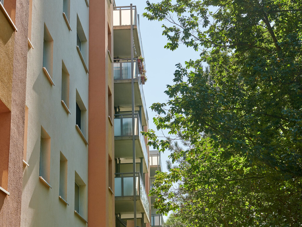 Harthaer Straße 46, 01169 Dresden