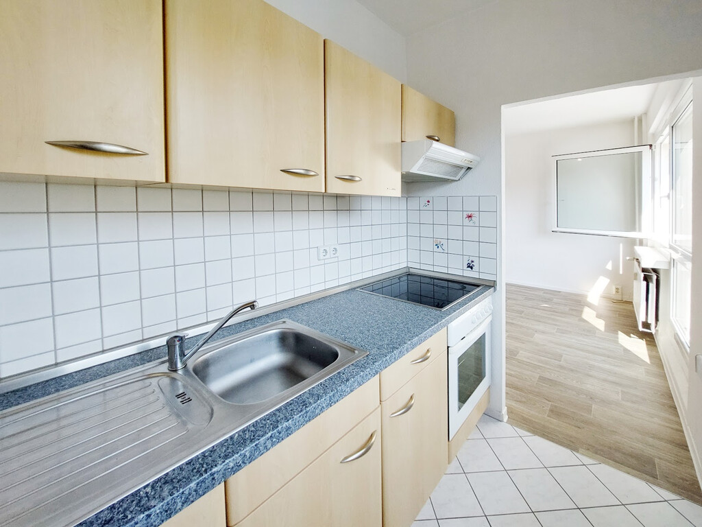Harthaer Straße 50, 01169 Dresden