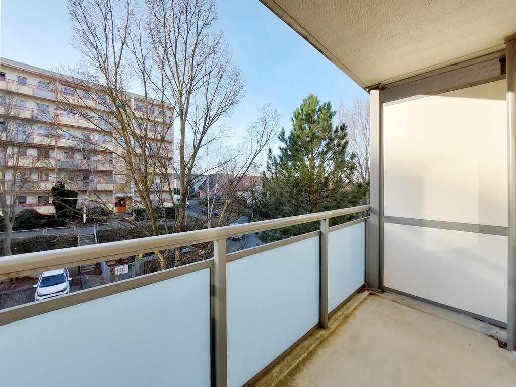 Harthaer Straße 52, 01169 Dresden