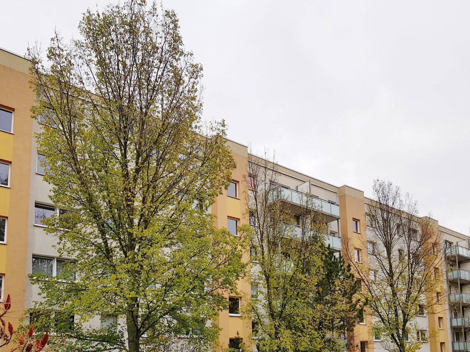 Harthaer Straße 52, 01169 Dresden