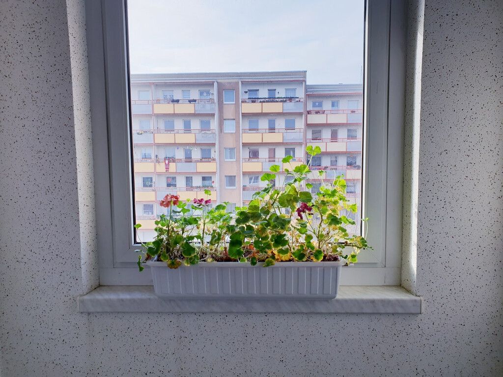 Harthaer Straße 54, 01169 Dresden