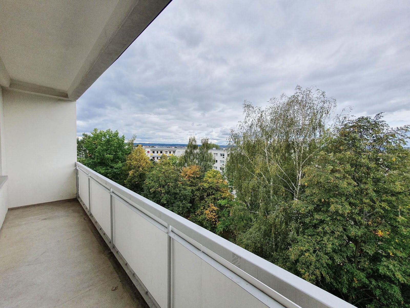 Harthaer Straße 58, 01169 Dresden