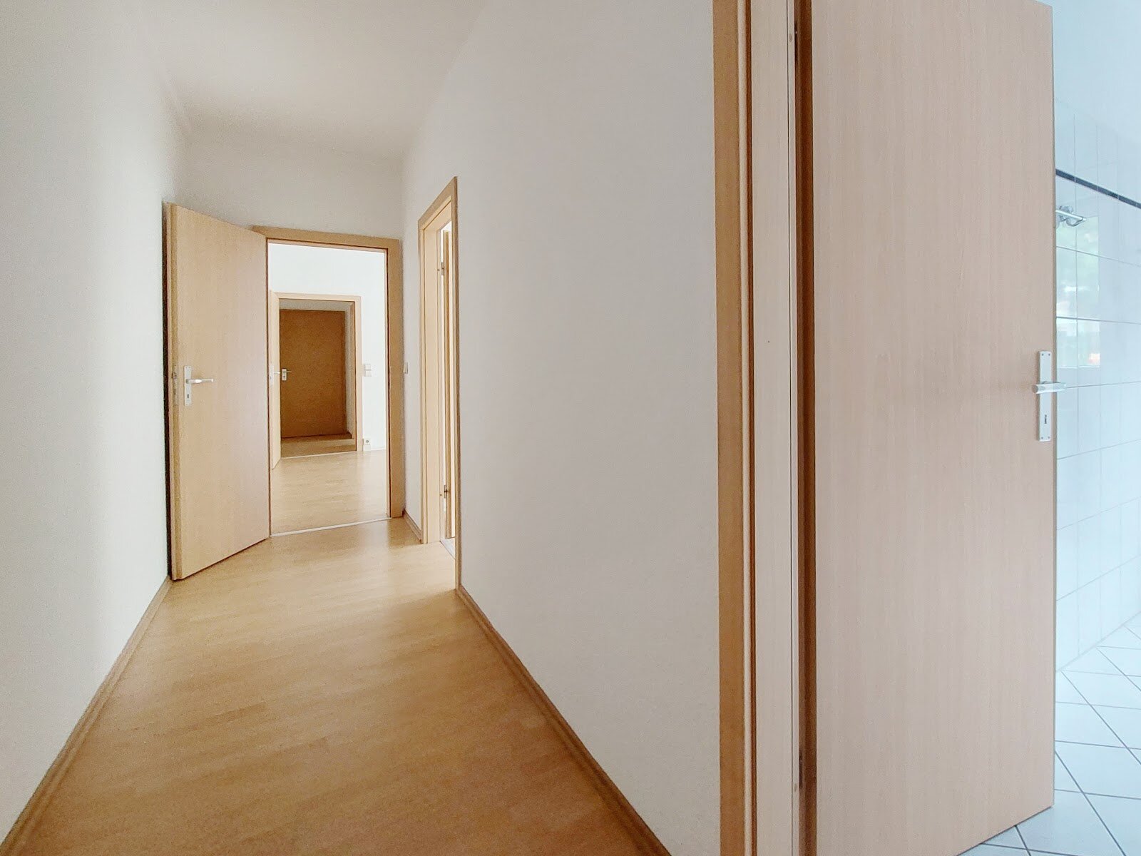 Harthaer Straße 60, 01169 Dresden