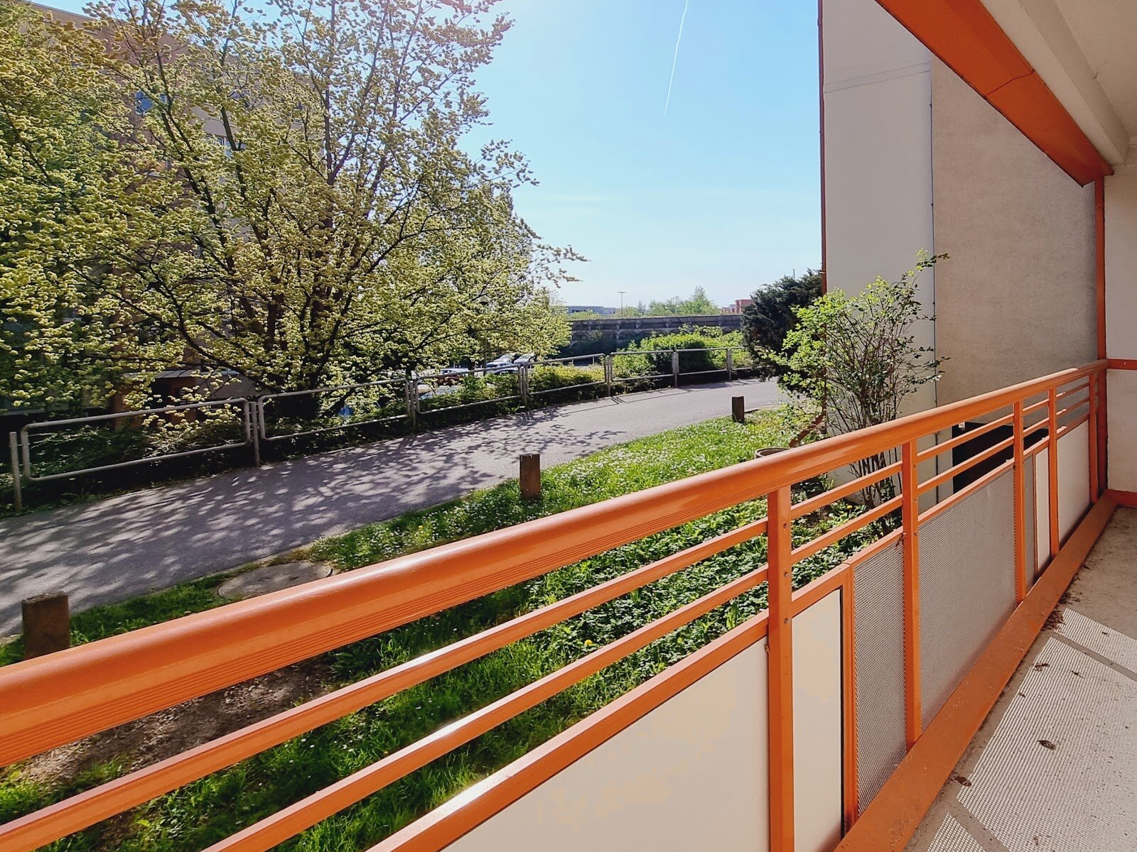 Harthaer Straße 62, 01169 Dresden