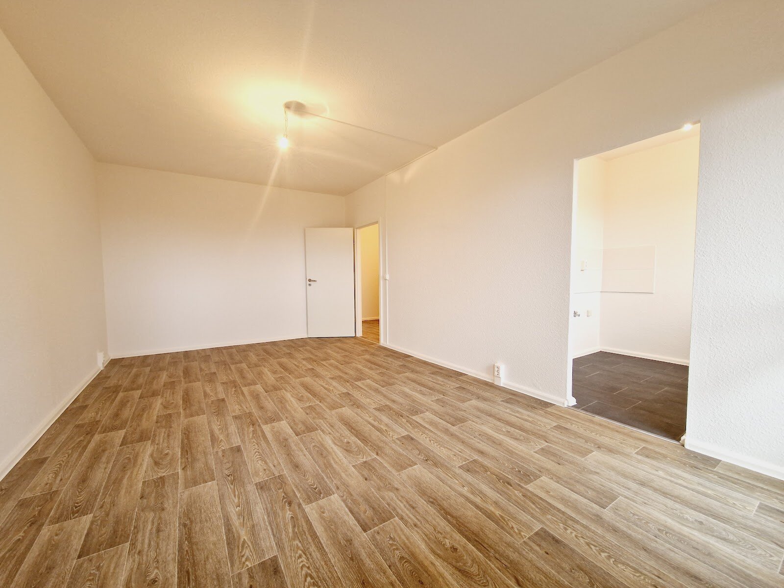 Harthaer Straße 64, 01169 Dresden