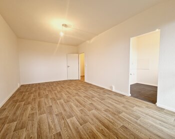 Harthaer Straße 64, 01169 Dresden