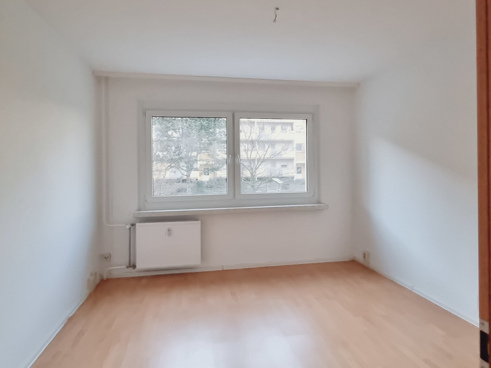 Harthaer Straße 74, 01169 Dresden