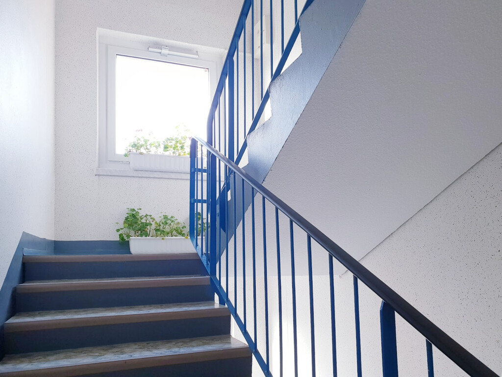 Harthaer Straße 80, 01169 Dresden