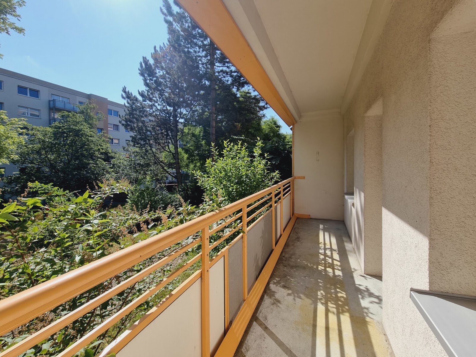 Harthaer Straße 84, 01169 Dresden