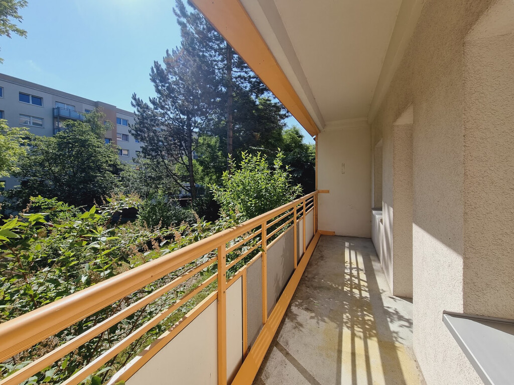 Harthaer Straße 84, 01169 Dresden