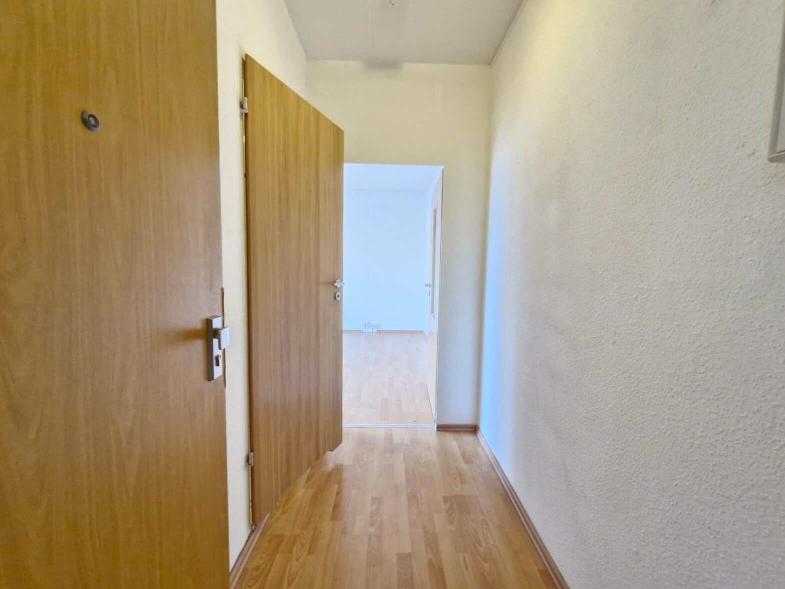 Wilsdruffer Ring 11, 01169 Dresden