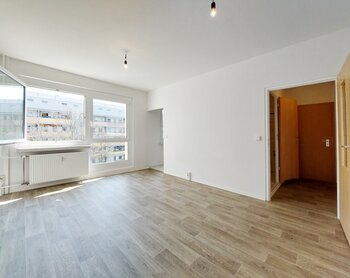 Wilsdruffer Ring 15, 01169 Dresden