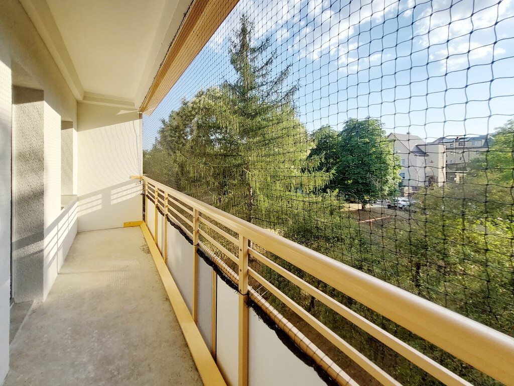 Wilsdruffer Ring 15, 01169 Dresden