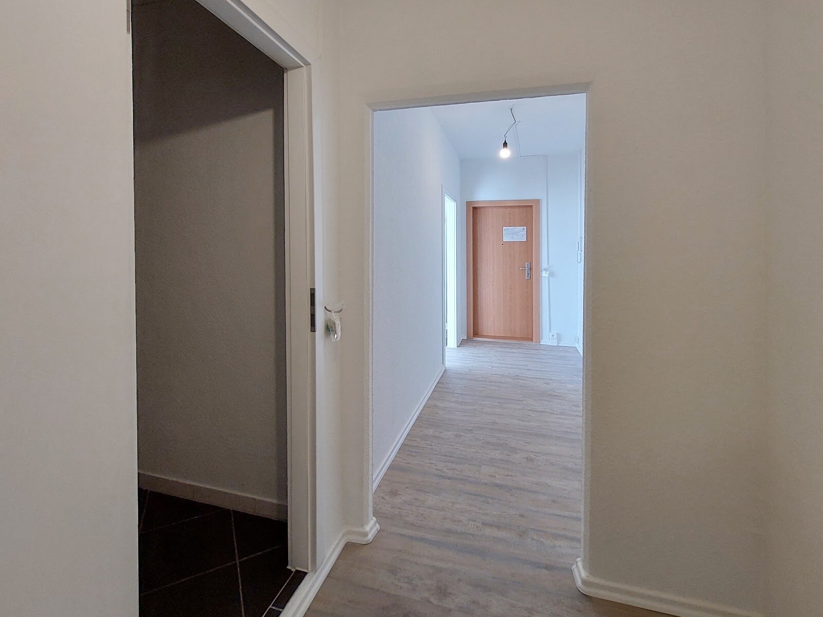 Wilsdruffer Ring 17, 01169 Dresden