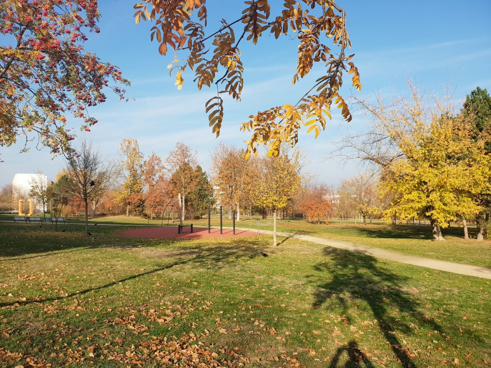 Wilsdruffer Ring 21, 01169 Dresden
