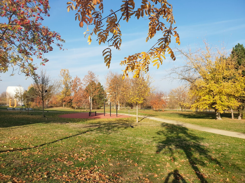 Wilsdruffer Ring 23, 01169 Dresden