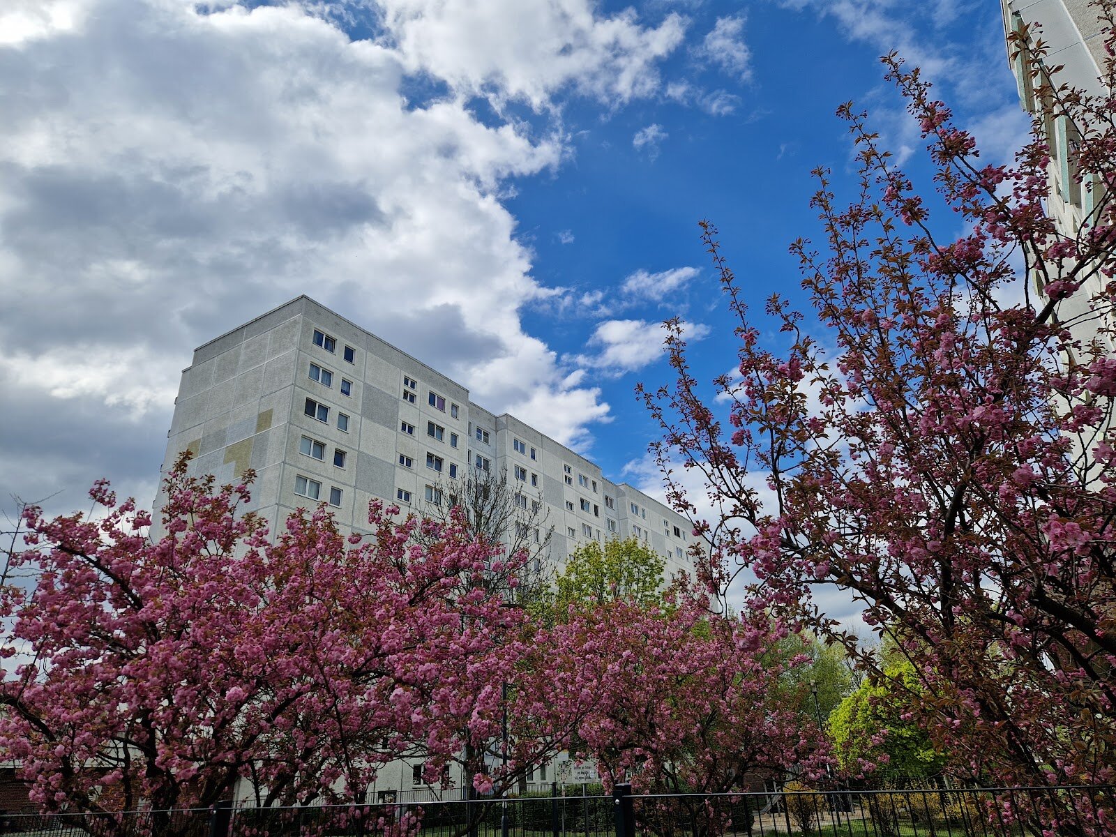 Märkische Allee 380, 12689 Berlin
