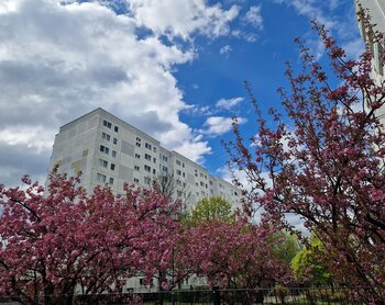 Märkische Allee 408, 12689 Berlin