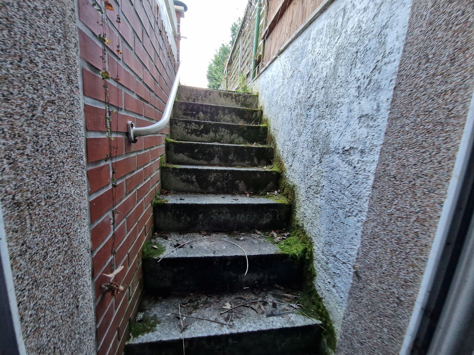Weimarer Straße 18, 39122 Magdeburg