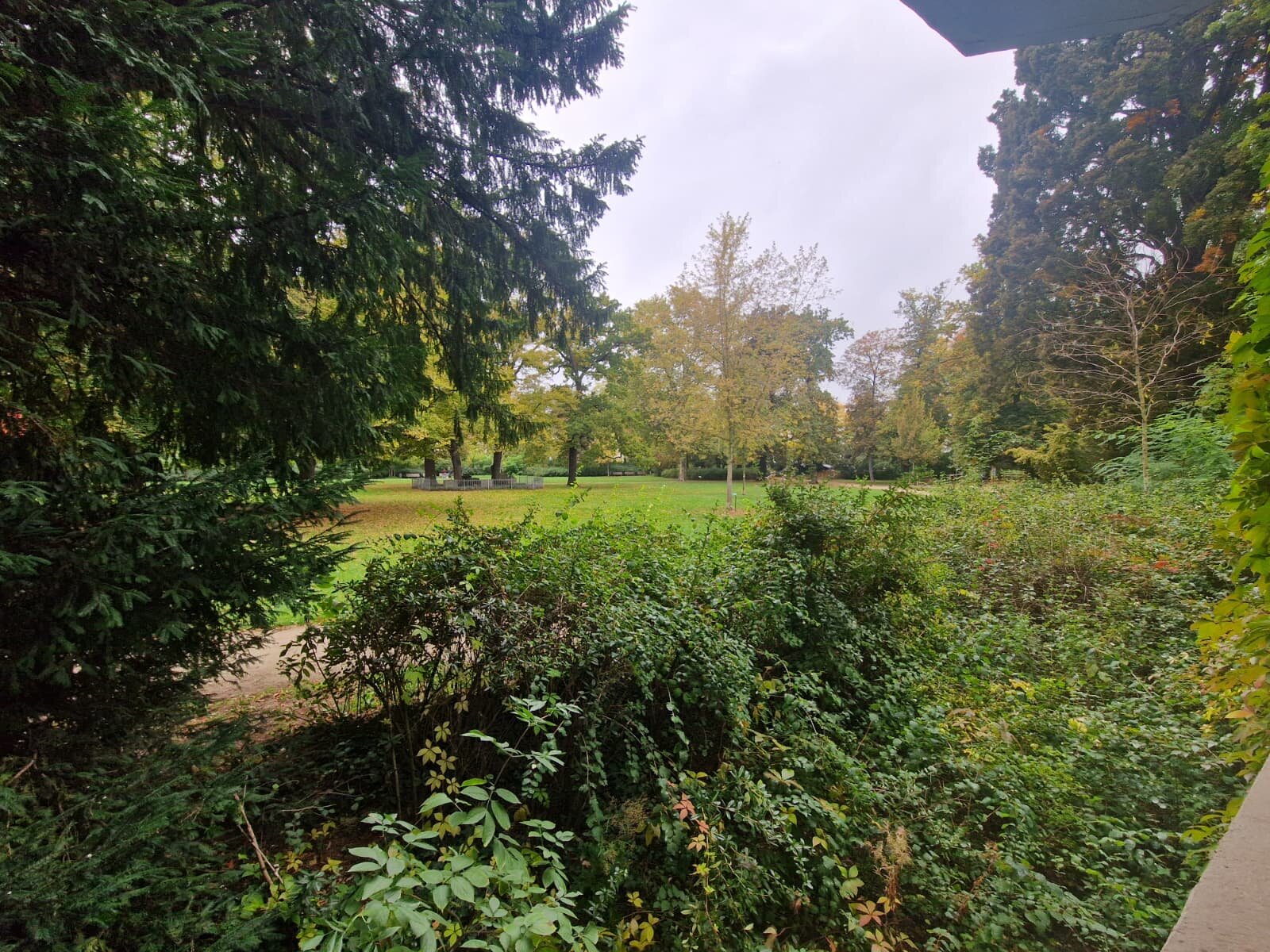 Jordanstraße 5, 39112 Magdeburg