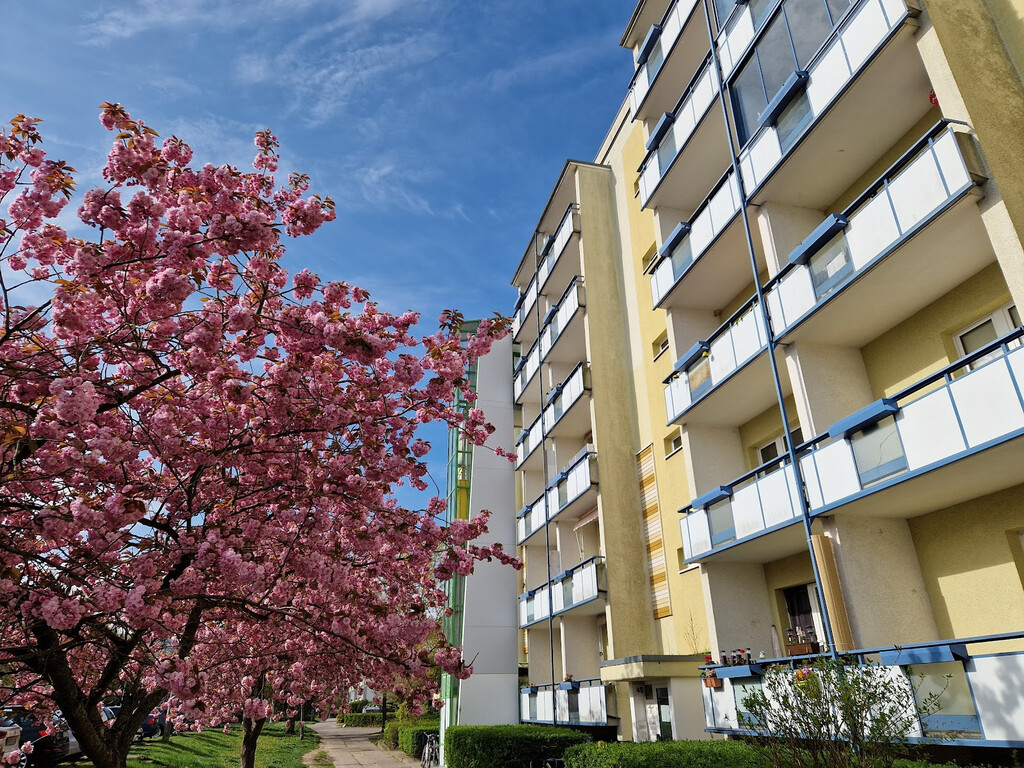 Kurze Straße 6, 17034 Neubrandenburg